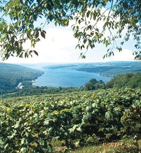 Finger Lakes Wineries